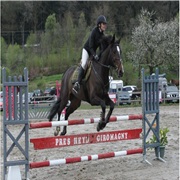 Centre equestre Prés Heyd